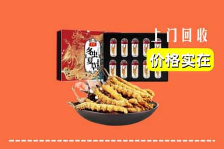 安州区回收冬虫夏草