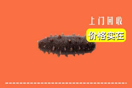 安州区回收海参