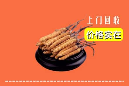 安州区回收冬虫夏草